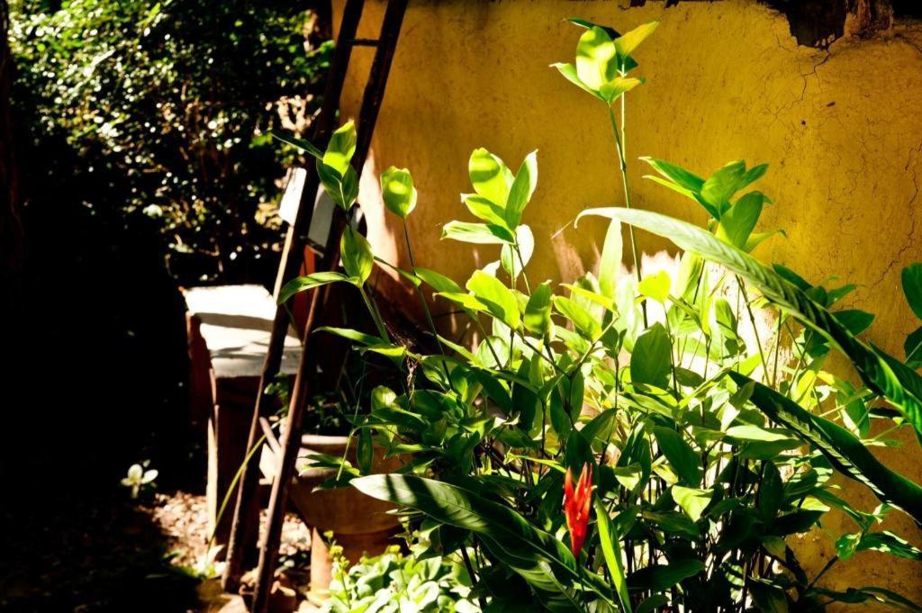 Khun Nai Tern Sai Hotel (Adults Only) Pai Luaran gambar